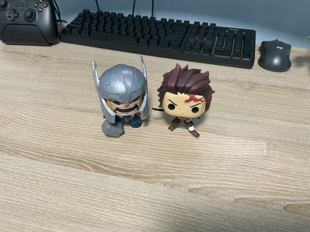 iPad A16 main camera sample, indoors at 1x zoom.