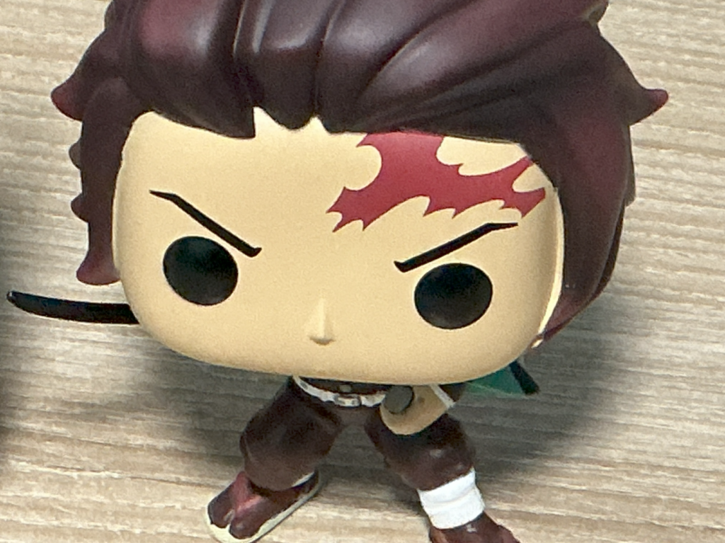 iPad A16 main camera sample, indoors at 5x zoom.