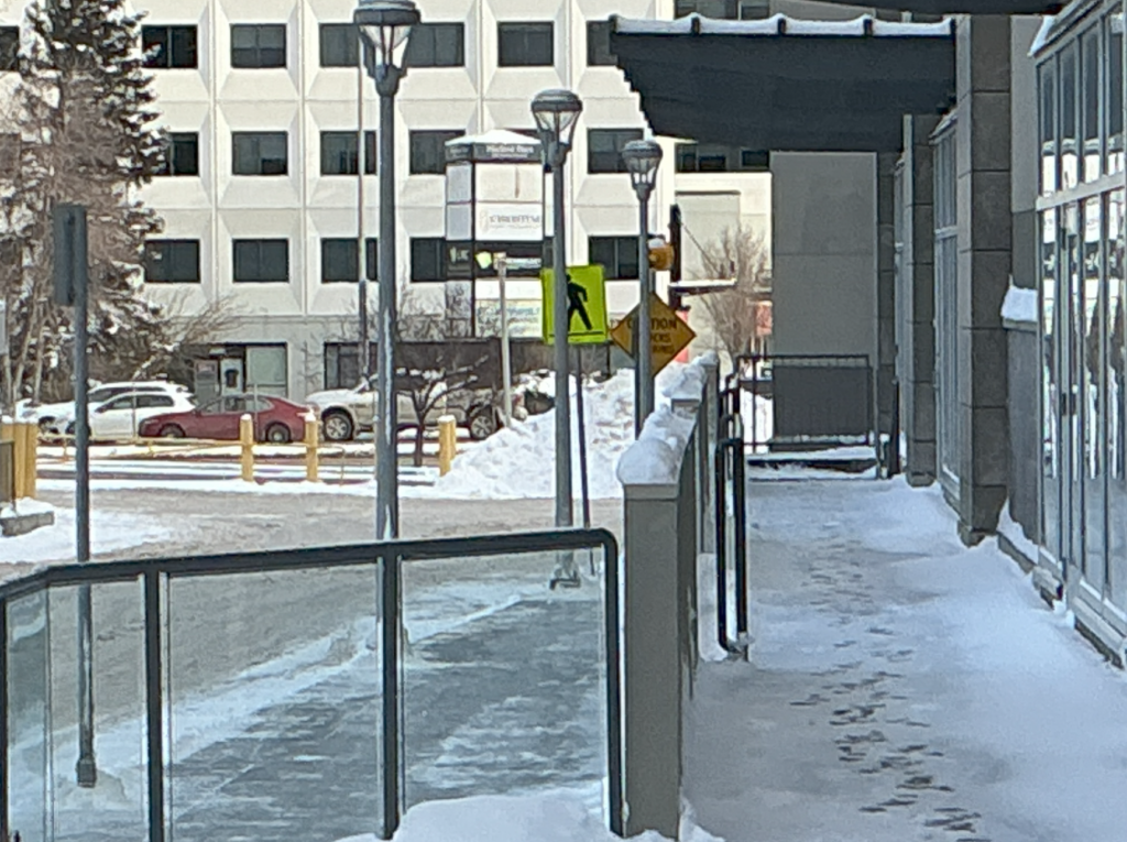 iPad A16 main camera sample, outdoors at 5x zoom.